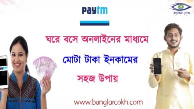 PAYTM online income